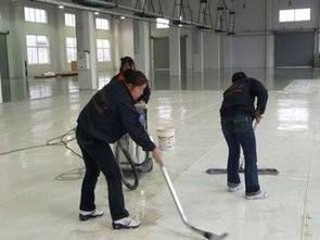 紫晶西城中心周边专业保洁服务 装潢后保洁、地板打蜡与玻璃清洁一站式解决方案